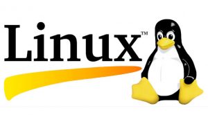Sejarah Distro LinuxDistribusi Linux