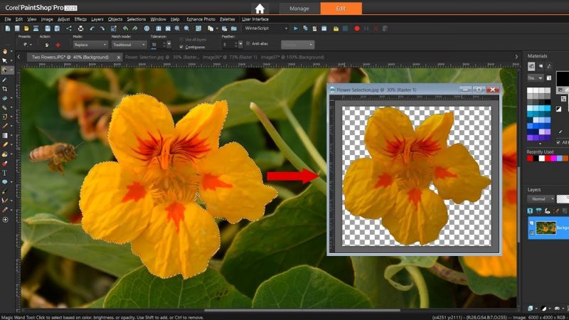 Cara Menghilangkan Background di Photoshop Dengan Menggunakan Magic Wand Tool